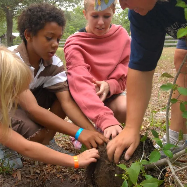 thumbnail for publication: Twelve Ways to Make the Most out of a Tree or Plant Giveaway Program